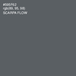 #595F62 - Scarpa Flow Color Image